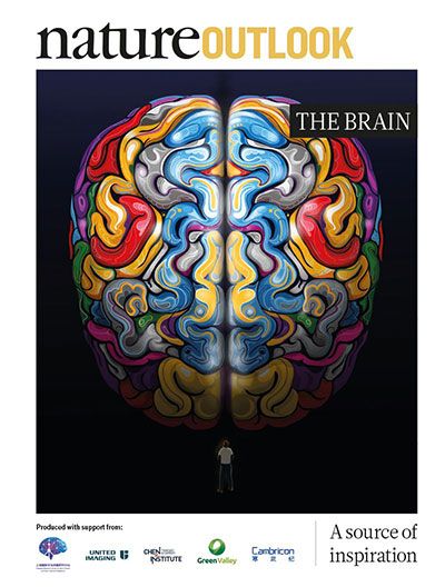 The search for secrets of the human brain