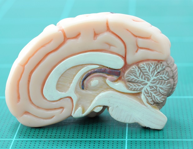 New coating to improve performance of neural recording technology