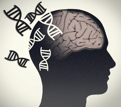 Restoring protein imbalance improves memory deficits in Down syndrome