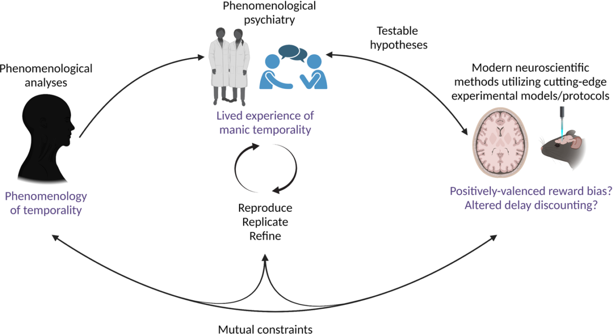 Taking subjectivity seriously: towards a unification of phenomenology, psychiatry, and neuroscience