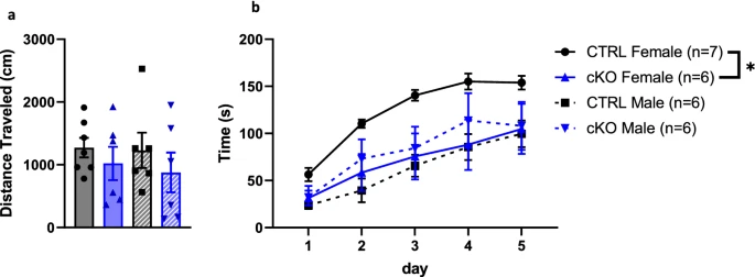 Neuronal deletion of CaV1.2 is associated with sex-specific behavioral phenotypes in mice