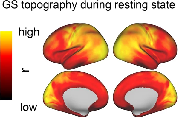 Beyond noise to function: reframing the global brain activity and its dynamic topography