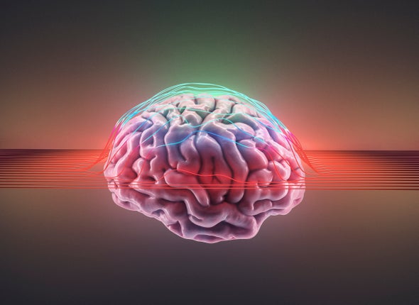 This Year’s Most Thought-Provoking Brain Discoveries