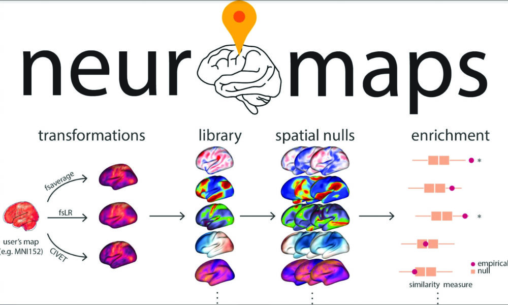 Introducing neuromaps, a Python toolbox for neuroscience research