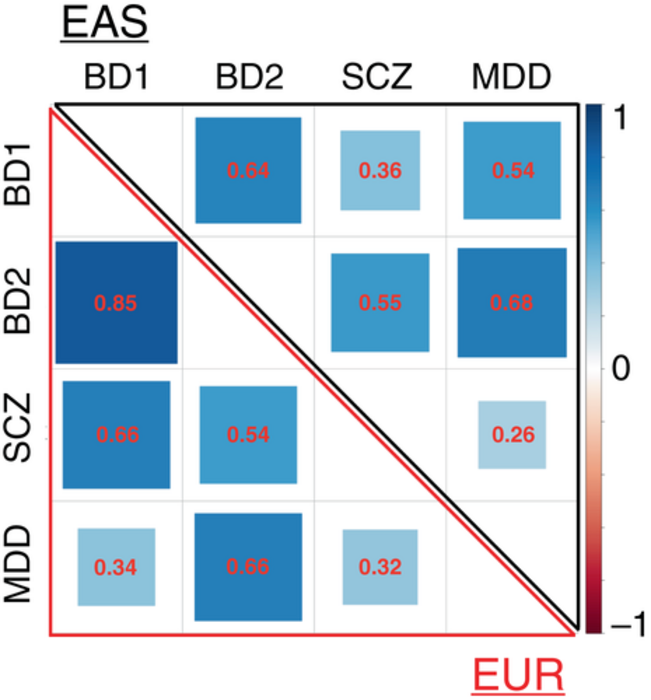 New study reveals differences in diagnosis of psychiatric disorders between geographies