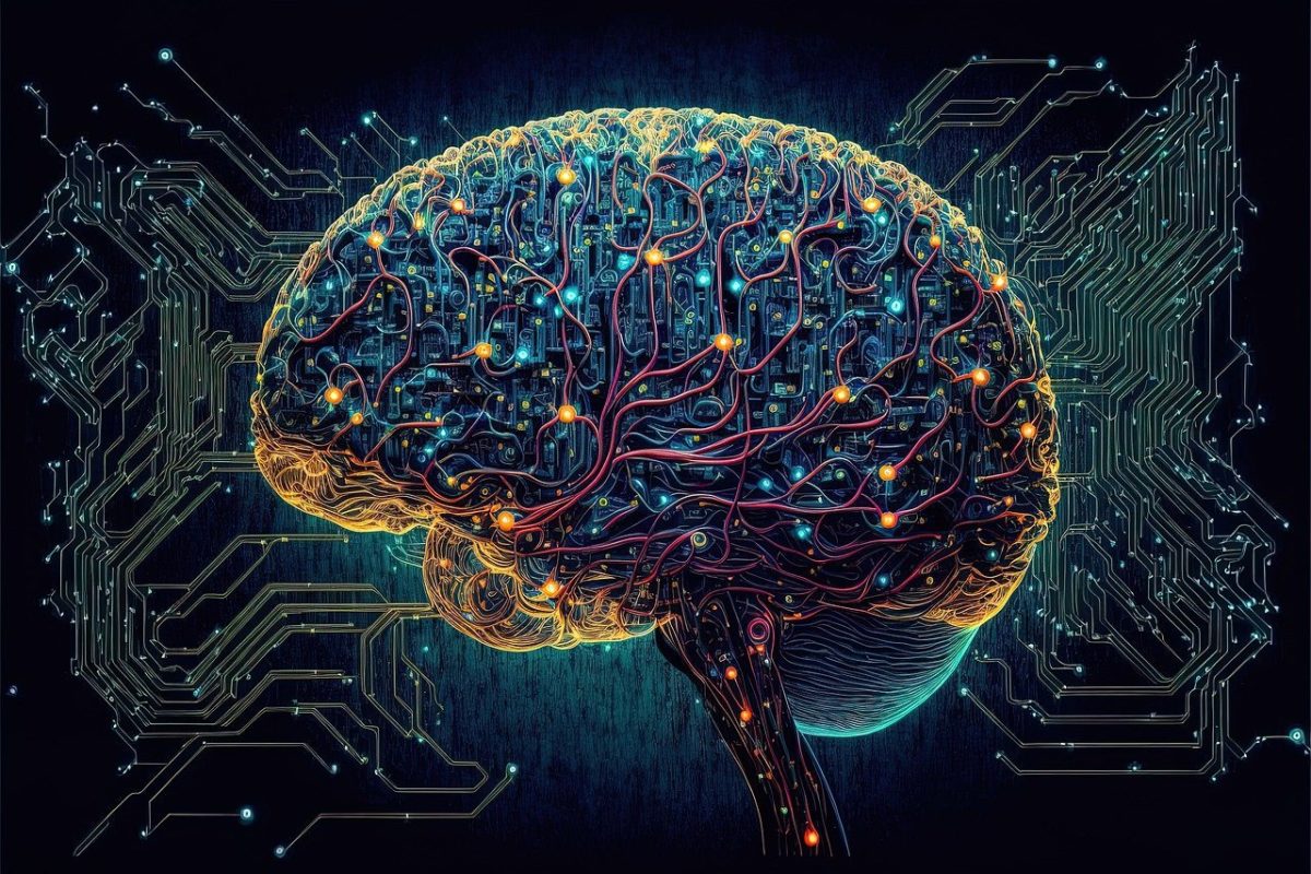 Myelin Determines Energy Metabolism in Inhibitory Brain Cells