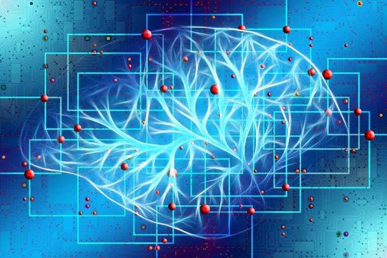 The Biological Basis of Network Control Theory in Brain Dynamics