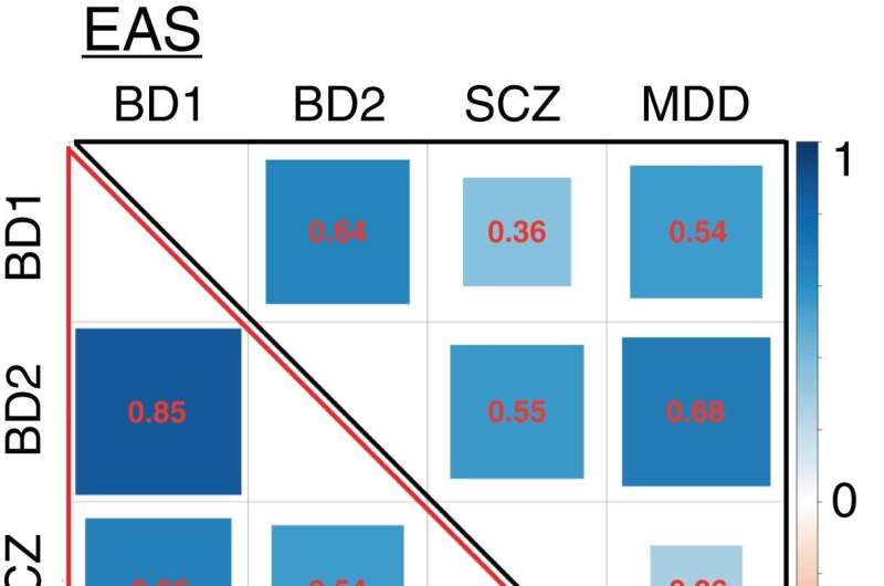 New study reveals differences in diagnosis of psychiatric disorders between Eastern and Western countries