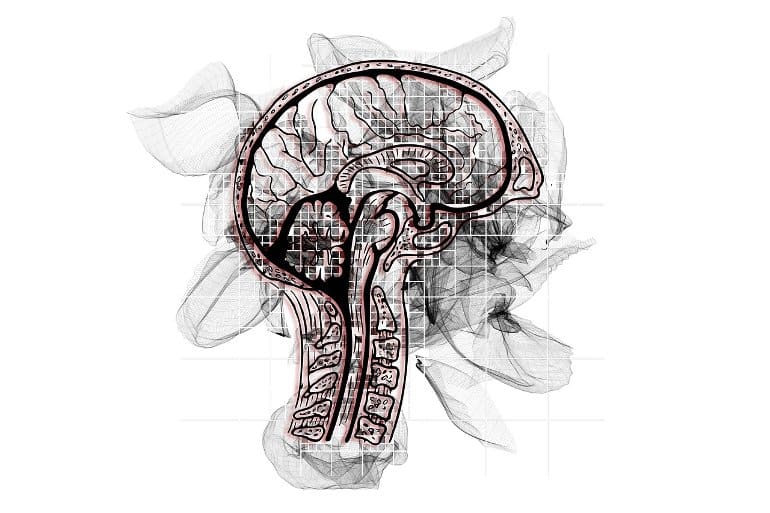 Smoking May Increase Chances of Mid-Life Memory Loss and Confusion