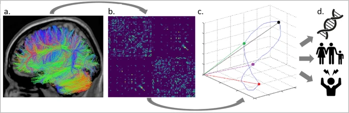 Genetic, individual, and familial risk correlates of brain network controllability in major depressive disorder