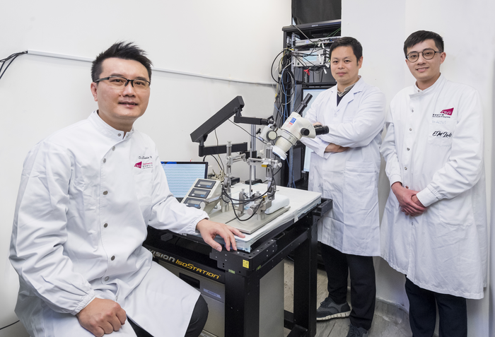 CityU neuroscientists identify a small molecule that restores visual function after optic nerve injury