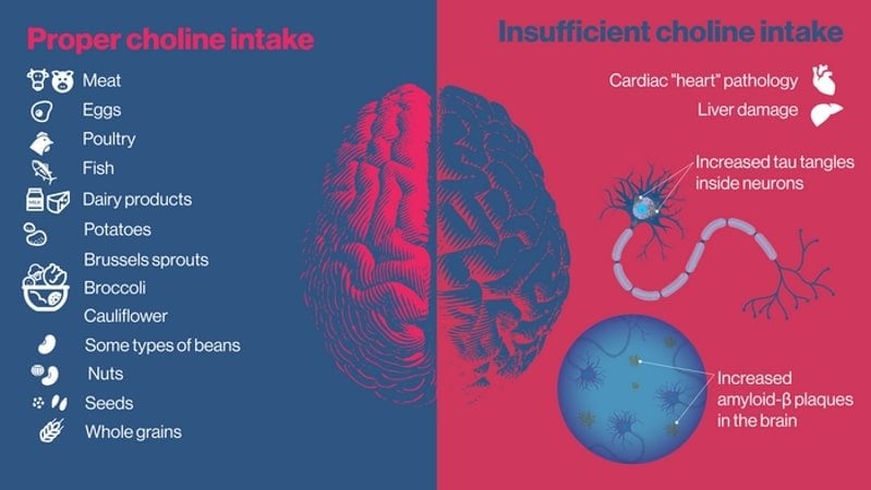 The Effects of Dietary Choline Deficiency on Neurologic and System-Wide Health