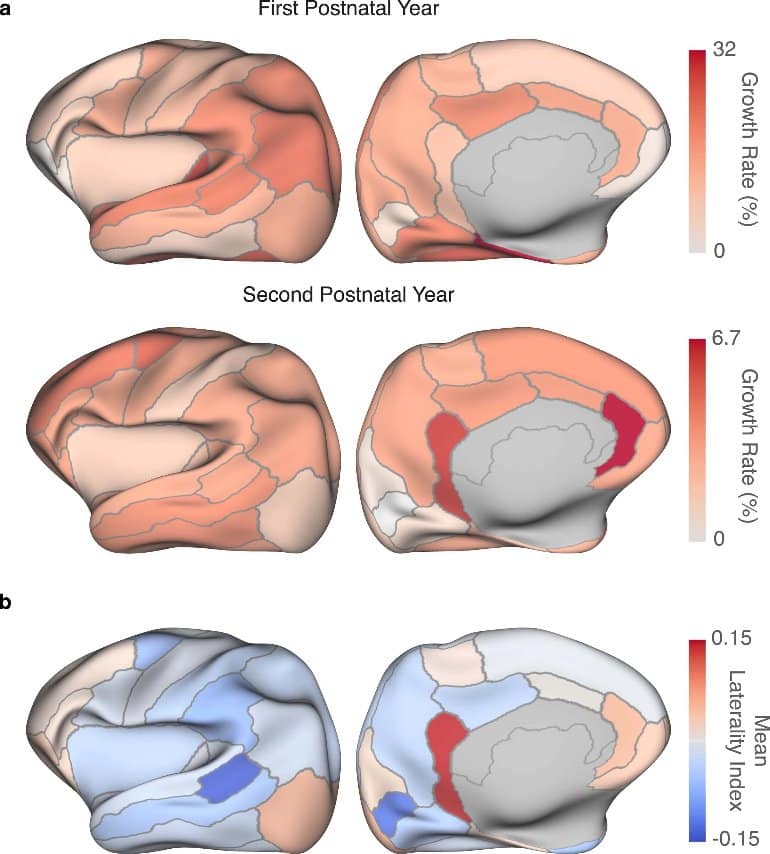 A New Collection of Human Brain Atlases That Chart Postnatal Development