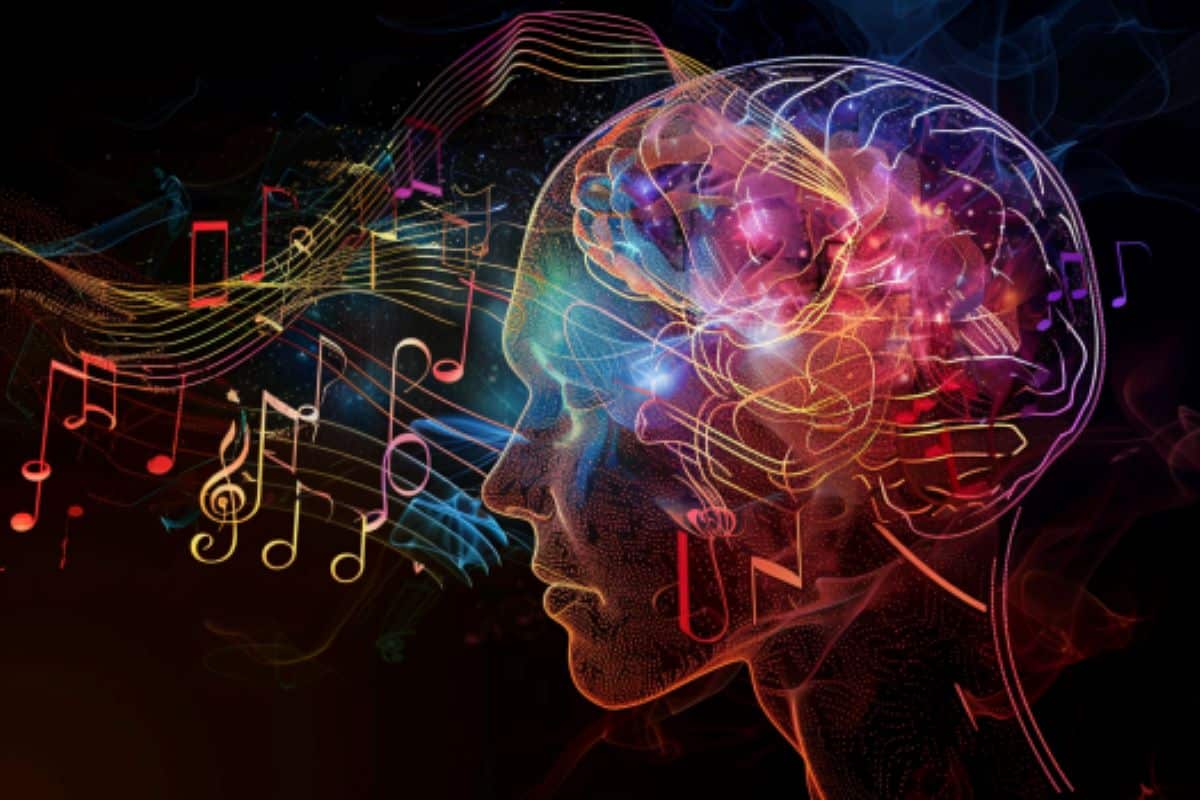 How the Brain Distinguishes Music from Speech