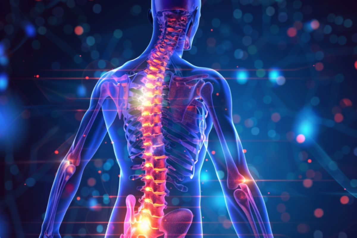 New Target for Spinal Cord Injury Treatment Identified