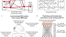 Centering cognitive neuroscience on task demands and generalization