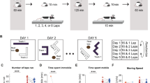 Nested compressed co-representations of multiple sequential experiences during sleep