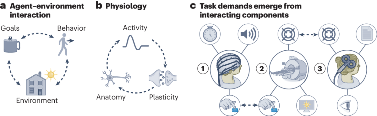 Centering cognitive neuroscience on task demands and generalization