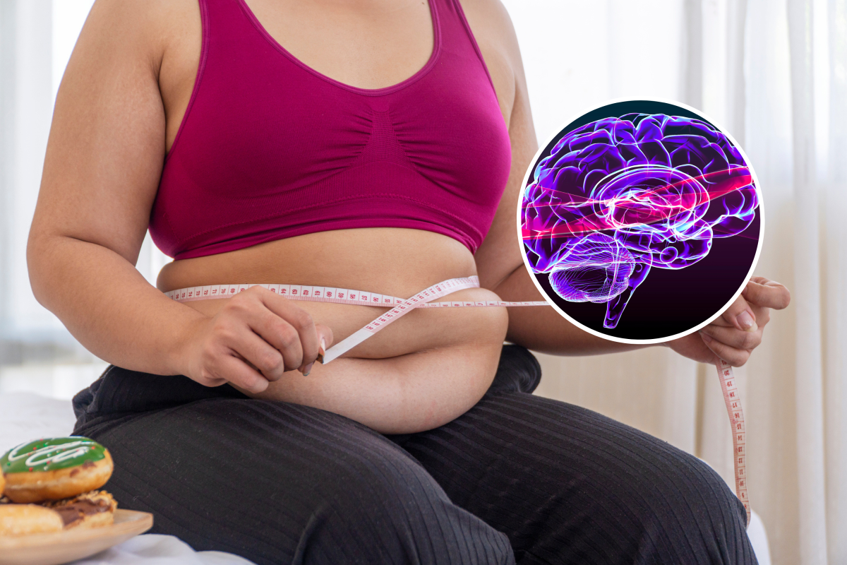 Belly Fat May Increase Alzheimer’s Risk, Neuroscientists Warn