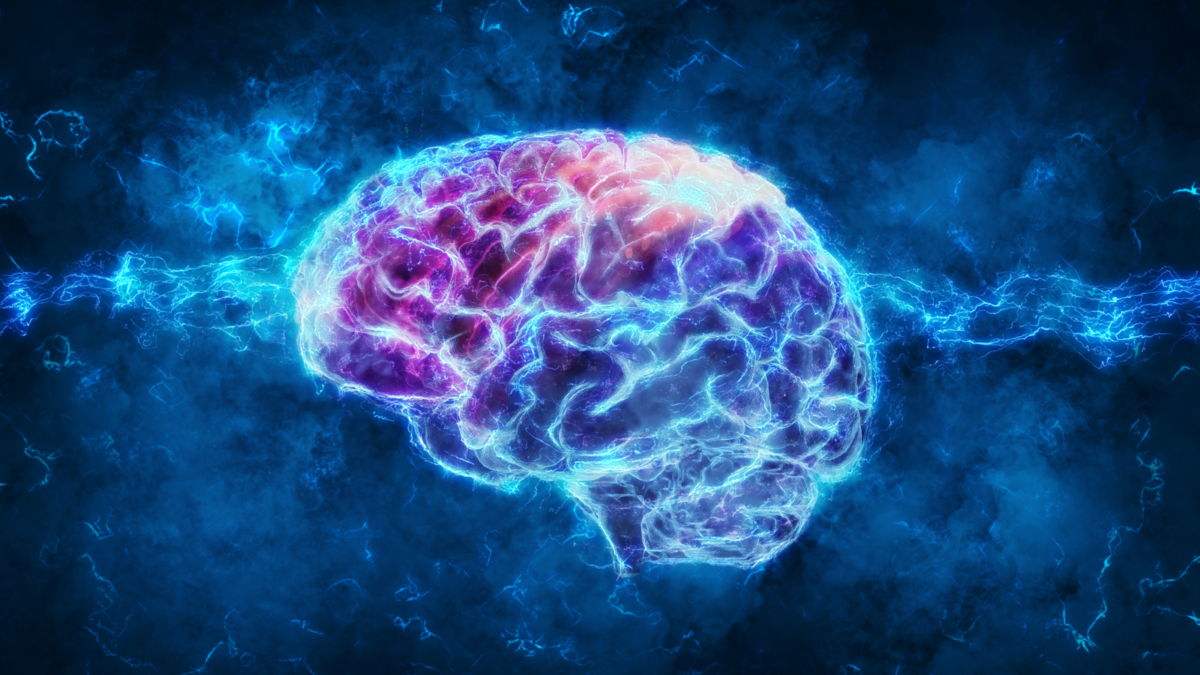 The 3 Best Neuroscience Biotech Stocks to Buy Now