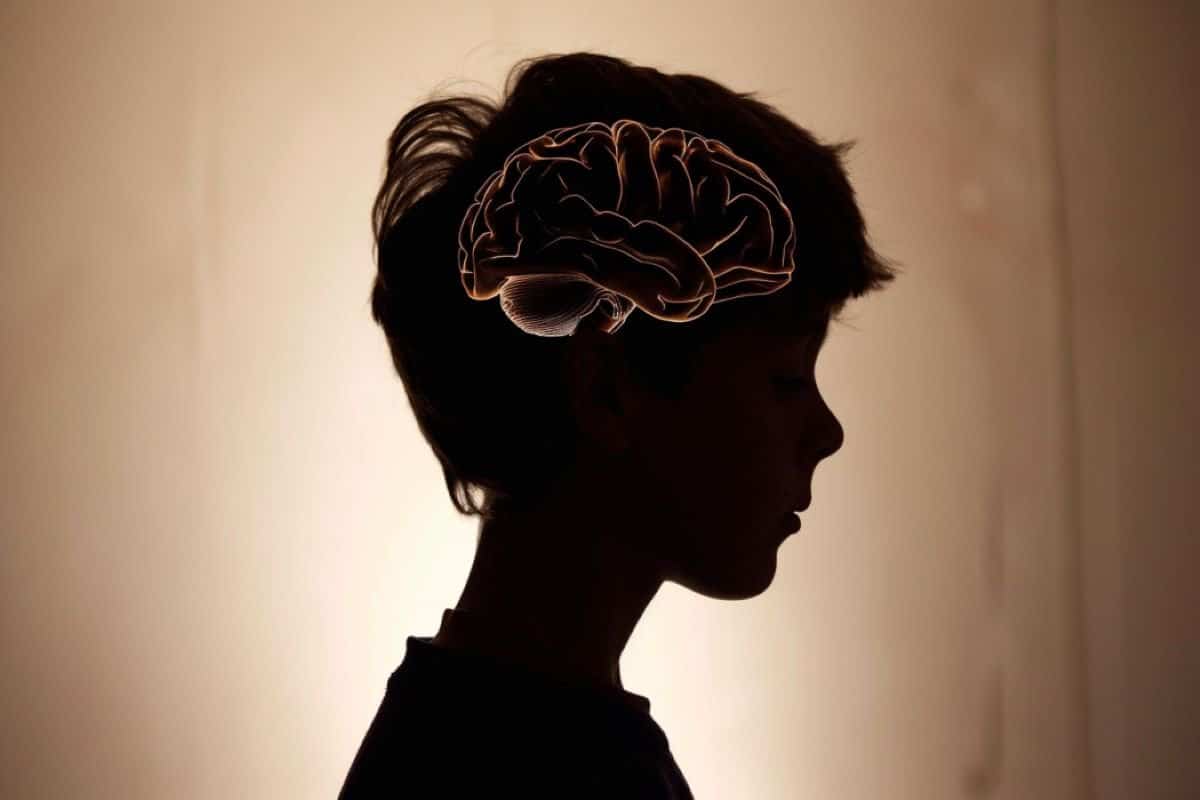 Reflective Thinking Boosts Teen Brain Resilience to Violence